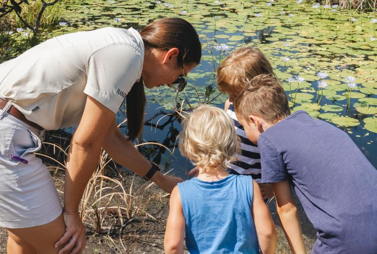 Eine Gruppe von Kindern steht neben einem Feuchtgebiet mit Seerosen, während ein Ranger bei Junior Eco Ranges auf etwas im Wasser deutet, Kingfisher Bay Resort, K'gari, Queensland © Kingfisher Bay Resort