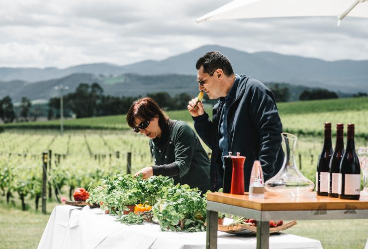 Oakridge Wines, Yarra Valley, Victoria © Tourism Australia
