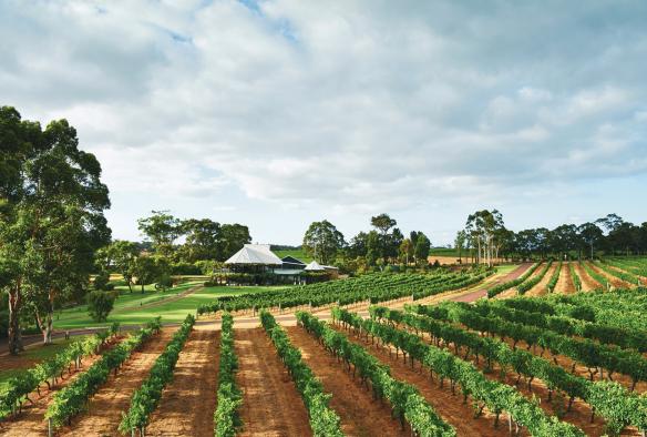 Vasse Felix, Margaret River, Westaustralien © Vasse Felix
