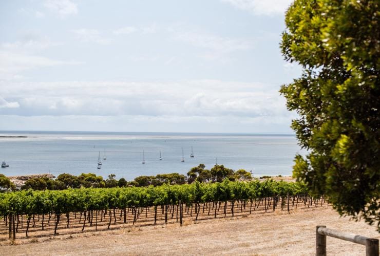 Bay of Shoals Wines, Kangaroo Island, Südaustralien © South Australian Tourism Commission
