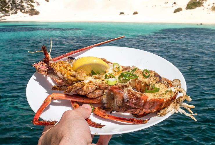 Eine Person hält einen Teller mit Hummer über dem Meer, Krebse, Rottnest Island, Westaustralien © Rottnest Cruises