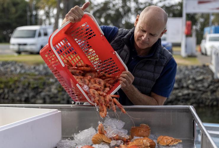 Eine Person gibt Garnelen und Krabben auf Eis in eine große Schale, Fishermen’s Co-op, Gold Coast, Queensland © Tourism Australia