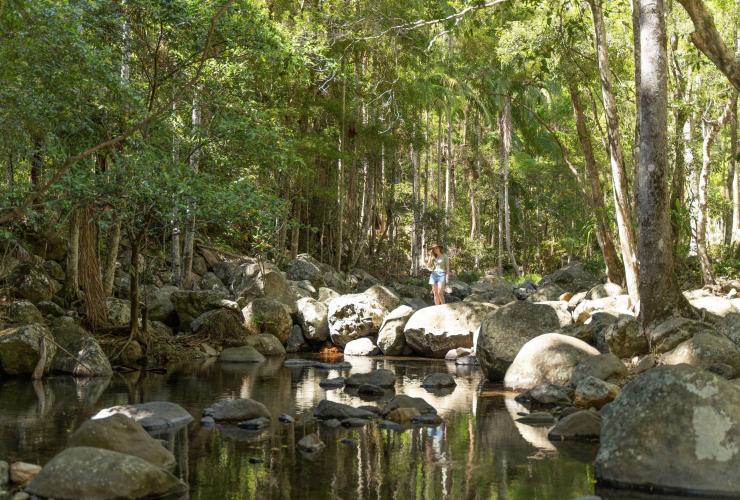 Eine Person steht neben einem stillen Naturpool, umgeben von Felsen und Regenwald, Thunderbird Park, Tamborine Mountain, Queensland © Tourism Australia