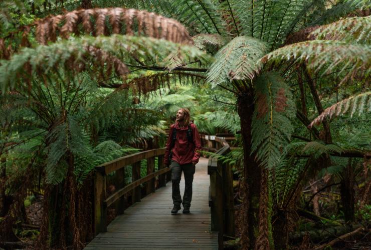 Hastings Caves and Thermal Springs, Huon Valley, Tasmanien © Jess Bonde