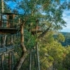 Wollemi Forest, Blue Mountains, New South Wales © Wollemi Cabins