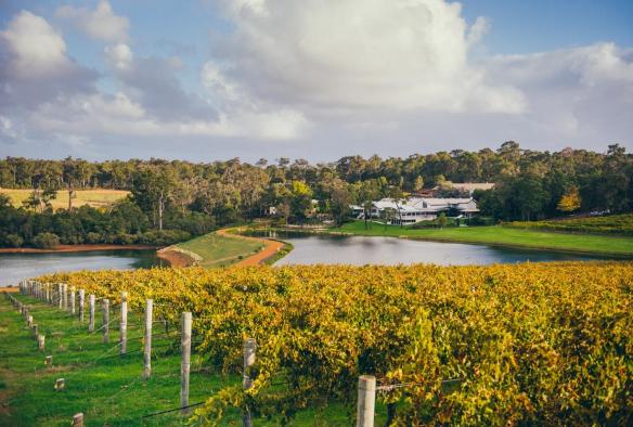 Aravina Estate, Margaret River, Westaustralien © Aravina Estate