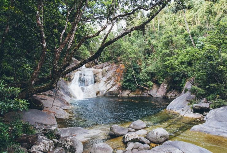 Josephine Falls, Wooroonooran National Park, Queensland © Tourism Tropical North Queensland