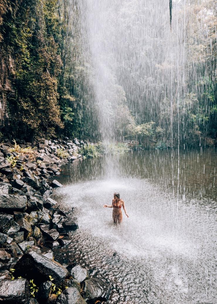 Millaa Millaa Falls, Millaa Millaa, Queensland © Tourism and Events Queensland/Kyle Hunter
