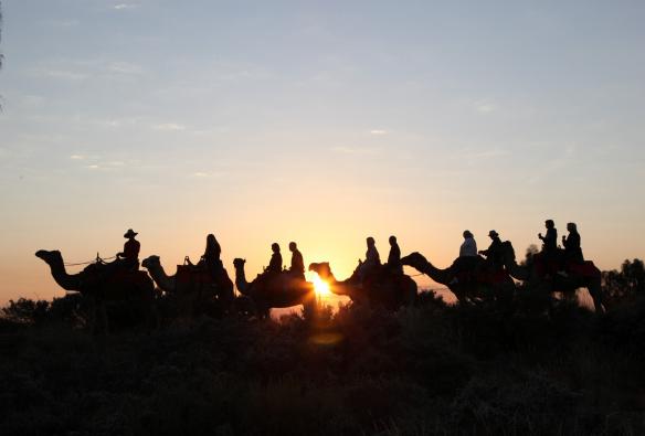 Der dunkle Umriss einer Gruppe von Menschen, die mit Uluru Camel Tours auf Kamelen reiten, während die Sonne hinter ihnen leuchtend untergeht, Uluru-Kata Tjuta National Park, Northern Territory © Uluru Camel Tours