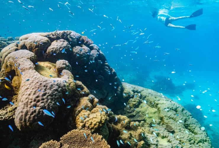 Kajaktour auf dem Meer mit Exmouth Adventure Co., Ningaloo Reef, Westaustralien © Tourism Western Australia