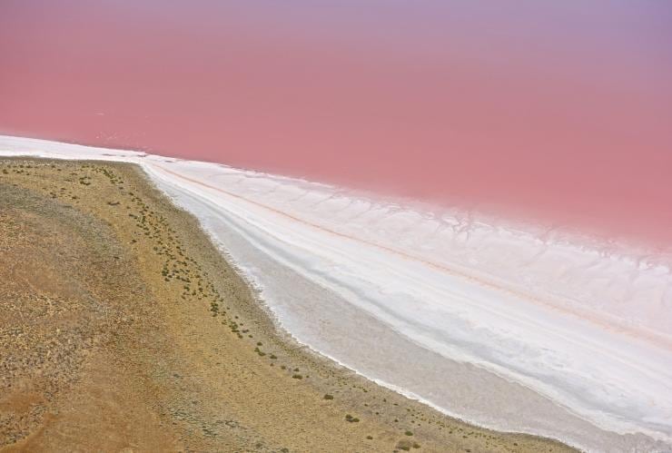 Luftaufnahme des sandigen Ufers und rosafarbenen Wassers von Kati Thanda-Lake Eyre, Outback von Südaustralien © Grant Hunt Photography