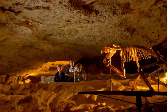 Eine Familie bewundert ein Tierskelett unter der Erde in den Naracoorte Caves, Naracoorte, Südaustralien © Adam Bruzzone