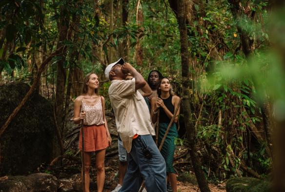 Eine Gruppe von Menschen steht zusammen mit einem Aboriginal Guide vom Mossman Gorge Centre in einem Regenwald, der eine rufende Geste macht, während er nach oben zum Blätterdach sieht, Daintree Rainforest, Queensland © Tourism and Events Queensland