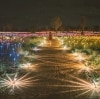 Besucherin geht durch die Kunstinstallation „Field of Light“ © Tourism NT/Mitchell Cox