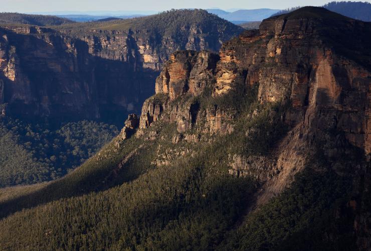 Ausblick über das üppige grüne Buschland der Berge und Täler des Grand Canyon Walking Track, Blue Mountains, New South Wales © Destination NSW