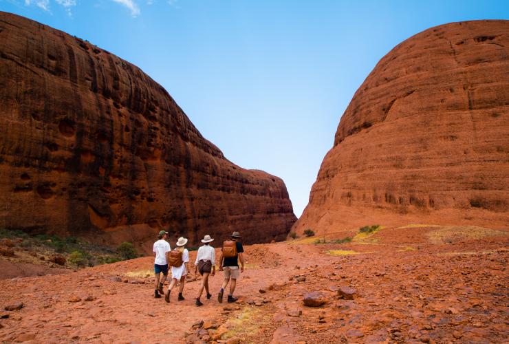 Eine vierköpfige Gruppe wandert entlang eines roten Felspfades an hoch auftürmenden roten Felsformationen des Kata Tjuta vorbei, Uluru-Kata Tjuta National Park, Northern Territory © Tourism NT/The Salty Travellers
