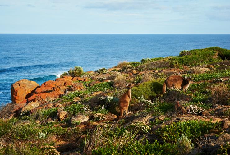 Walk Into Luxury, Cape to Cape Track, Margaret River, Westaustralien © Walk Into Luxury/Frances Andrijich 