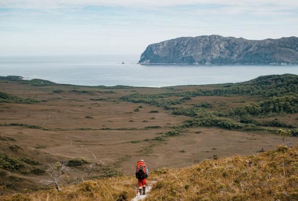 South Coast Track, Southwest National Park, Tasmanien © Matty Eaton