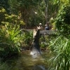 Krokodil springt in Queensland bei Hartley's Creek Crocodile Adventures aus dem Wasser © Tourism Australia