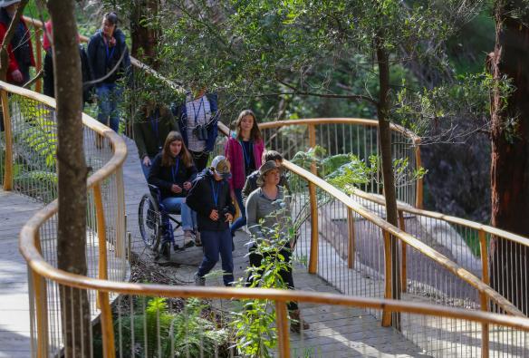 Eine Gruppe von Menschen, darunter eine Person im Rollstuhl, bewegt sich auf einem Holzsteg durch üppiges Buschland, Wildlife Wonders, Great Ocean Road, Victoria © Phil Hines