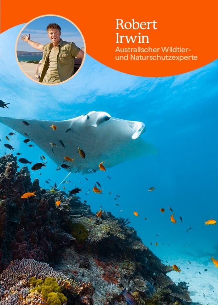 Ein Mantarochen gleitet durch einen Schwarm Fische – darüber eingeblendet ein Bild von Robert Irwin mit dem Text: „Robert Irwin, australischer Naturschützer“