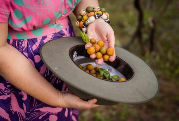 Native Botanicals, The Top End, Northern Territory © Darwin Distilling
