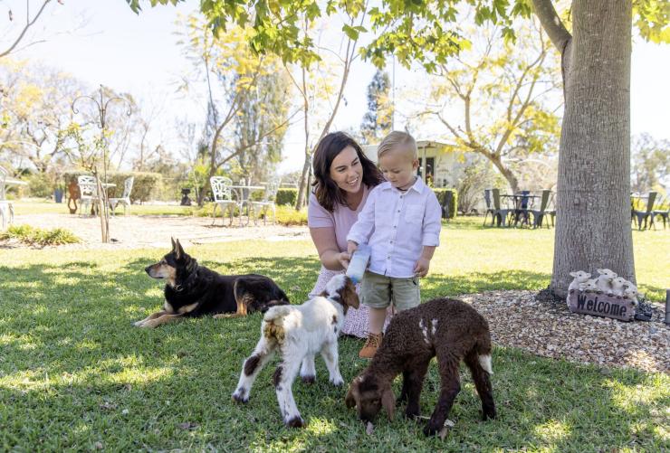Mother and young boy feeding lambs, Towri Sheep Cheeses, Allenview, Queensland © Tourism Australia
