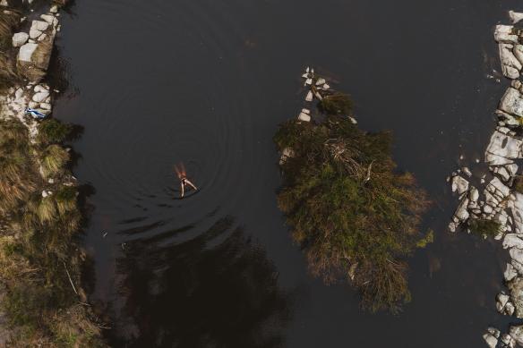 Aerial of a person swimming in dark waters at Martha Vale Park, St Helens, Tasmania © Stu Gibson