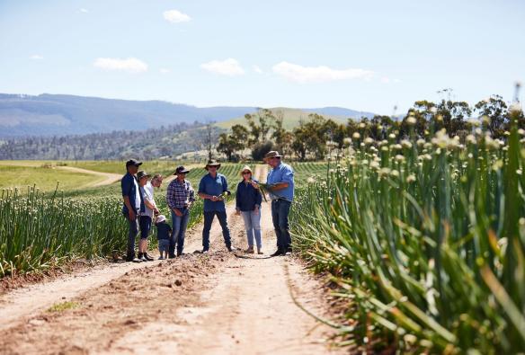 A group of people stand on a dirt road surrounded by crop, Curringa Farm, Hamilton, Tasmania © Tourism Australia
