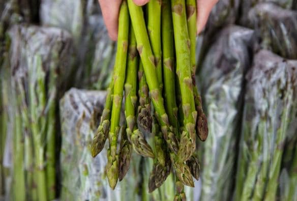 Asparagus, Albany Farmers Market, Western Australia © Tourism Australia