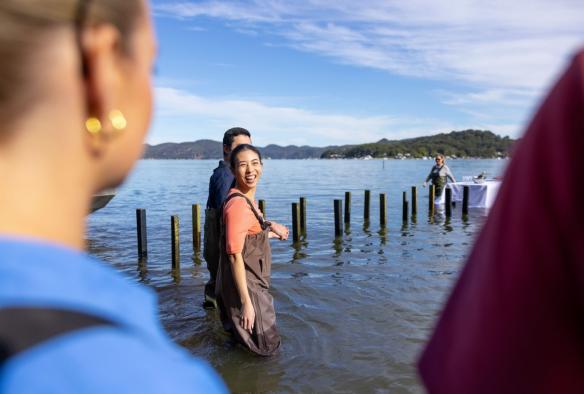 Couple walking out into the water at Sydney Oyster Farm Tours, Mooney Mooney, New South Wales  © Tourism Australia