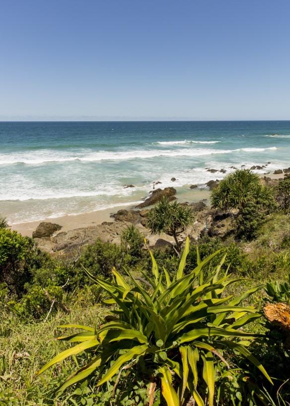 Green plants in the foreground leading to a beach with gentle waves at Kings Beach, Byron Bay, New South Wales © Destination NSW
