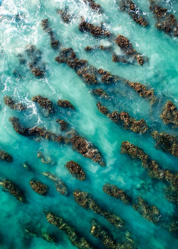 Aerial view over a reef jutting out of turquoise water at Swanbourne Beach, Perth, Western Australia © Tourism Western Australia