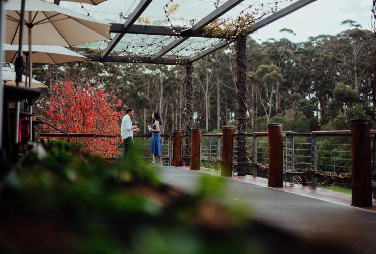 Couple at Leeuwin Estate Restaurant, Margaret River, WA © Tourism Western Australia