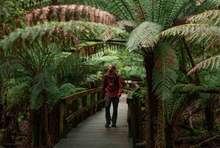 Hastings Cave and Thermal Springs, Huon Valley, Tasmania © Jess Bonde