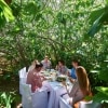 A group of people dining among the lush green leaves of the Enchanted Fig Tree, Hannaford and Sachs. Kangaroo Island, South Australia © Adam Bruzzone 