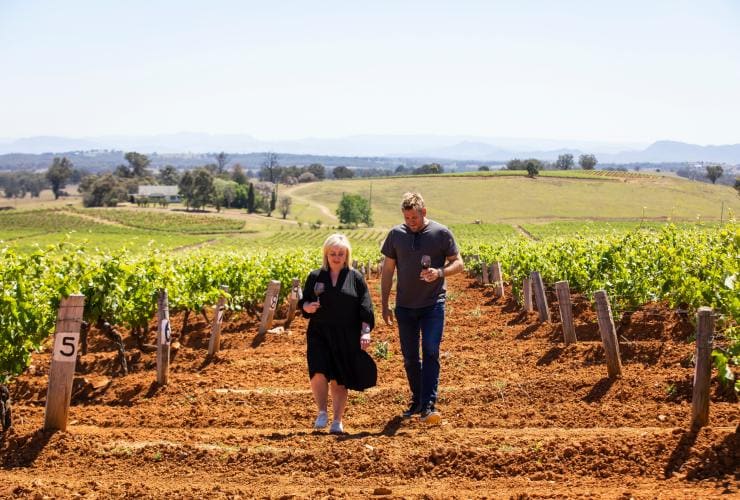 Two people walking through a vineyard while holding glasses of wine, Tyrrells Wines, Hunter Valley, New South Wales © Destination NSW