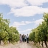 A group of people walking throw lush vineyards with McLeod Tours, Margaret River, Western Australia © Tourism Australia