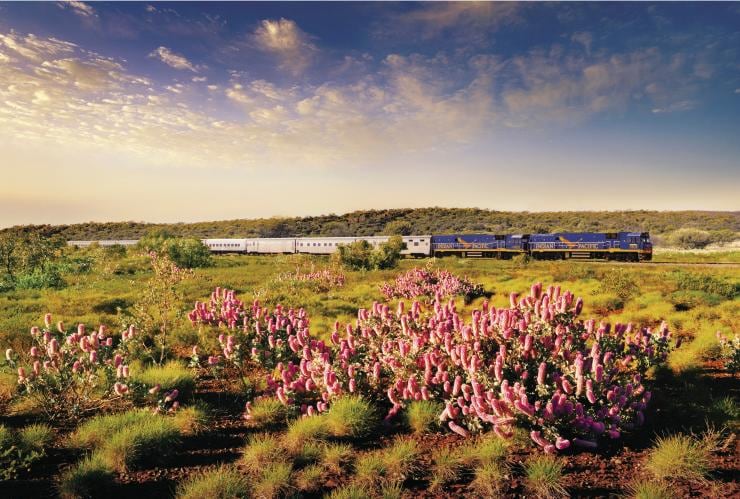 The Indian Pacific, Adelaide, South Australia © Journey Beyond Rail