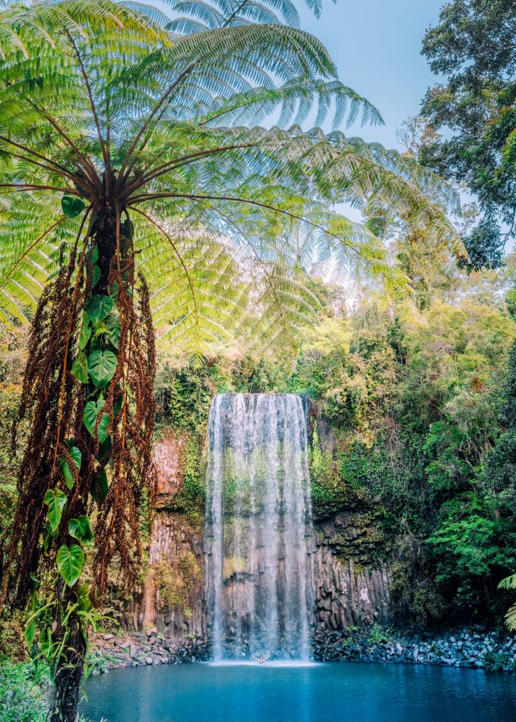 Millaa Millaa Falls, Millaa Millaa, Queensland © Tourism and Events Queensland