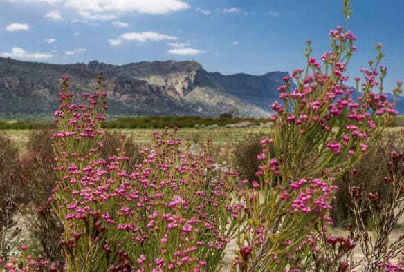 Grampians National Park, Victoria © Visit Victoria