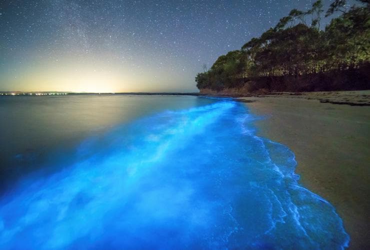 Bioluminescence, Plantation Point, Jervis Bay, New South Wales © Destination NSW