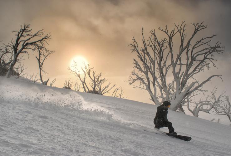 snowboard descendiendo ladera nevada con el sol australiano de fondo
