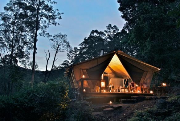 A large glamping tent amid bushland, lit up with lanterns during dusk at Nightfall Camp, near Lamington National Park, Queensland © Nightfall Camp