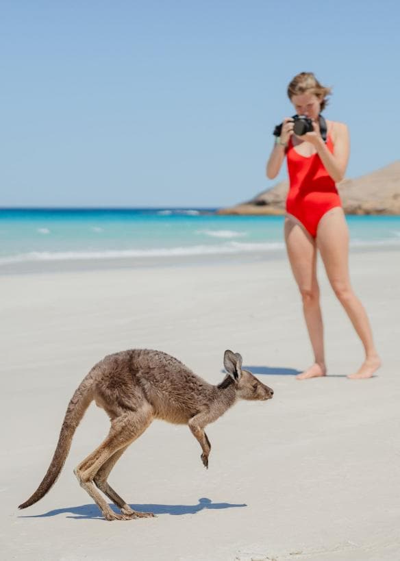 Lucky Bay, Esperance, Western Australia © Tourism Australia 