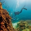 Great Barrier Reef, Heron Island, Queensland © Paul Giggle, Tourism and Events Queensland