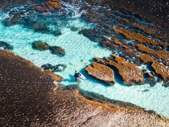 Diver wading into crystal clear water at Surfers Point, Margaret River, Western Australia © Tourism Australia 
