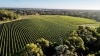 Aerial view over a lush green vineyard, Voyager Estate, Stevens Valley, Margaret River, Western Australia © Tourism Australia
