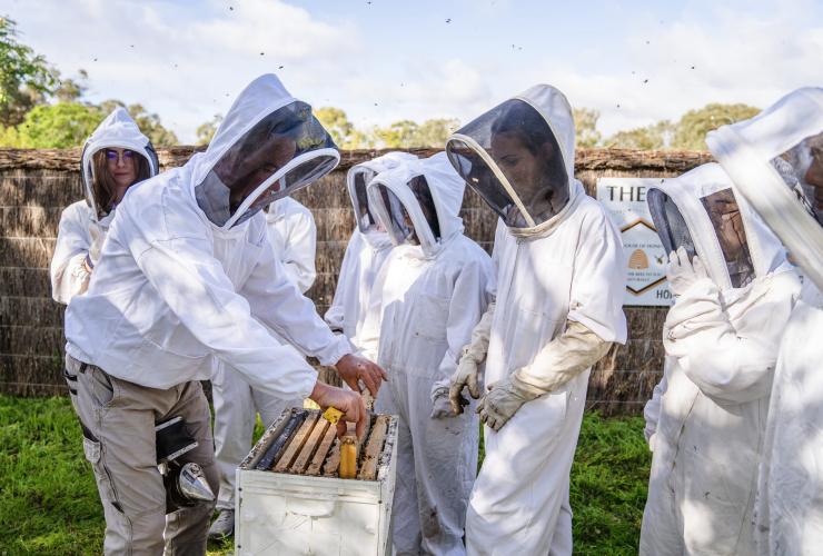 A group of people in beekeeping suits pulling honeycomb from a man-made bee hive at the House of Honey, Swan Valley, Western Australia © Tourism Australia