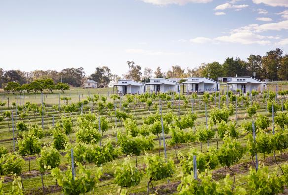 Cabins overlooking the vines at Ridgemill Estate, Stanthorpe, Queensland © Ridgemill Estate